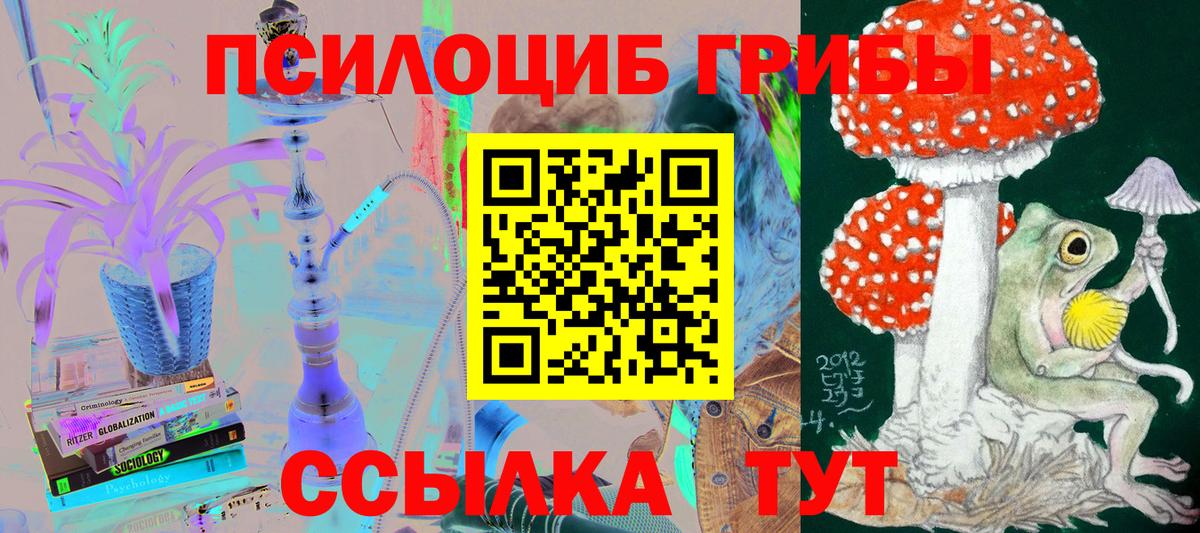 Ревда  Псилоцибиновые грибы мухоморы  Вход с VPN  где найти наркотики  Псилоцибиновые грибы GOLDEN TEACHER 